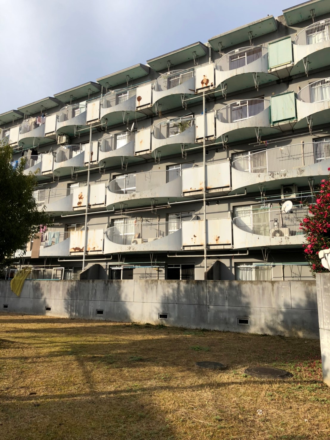 40EA561F-F9CA-4F45-B70B-08EA370183A1