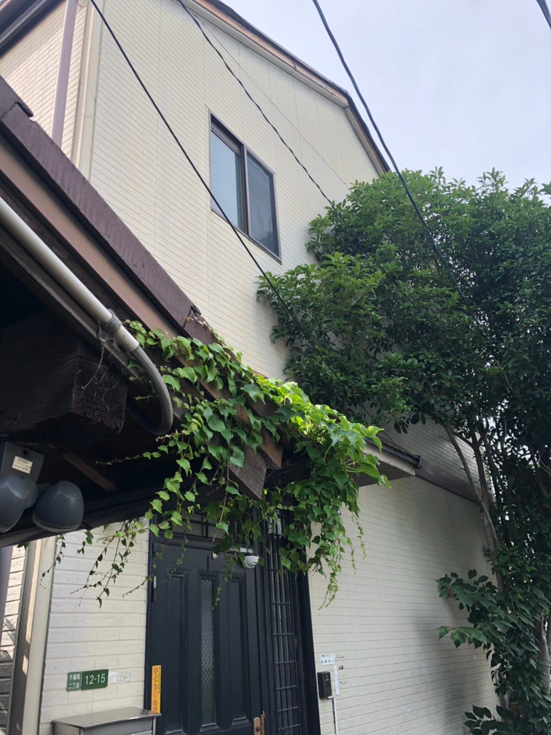 1433C1EA-B710-49C4-BFDB-4B5D01C4FFBF